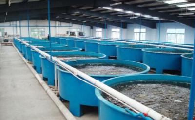 养殖恒温热水系统解决方案